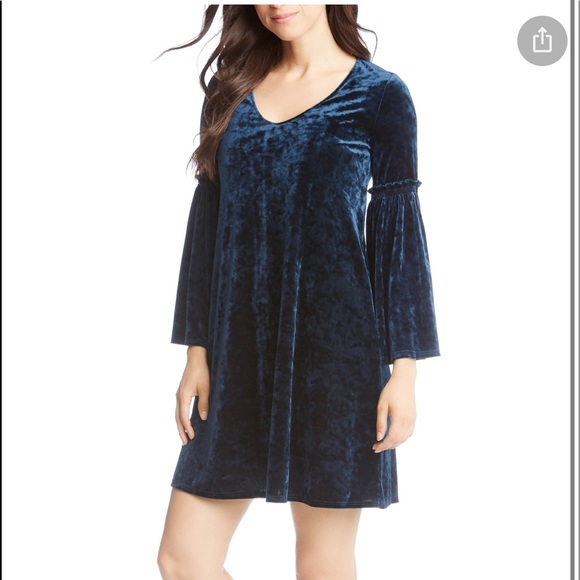 Velvet Dress - Picture 3 of 6